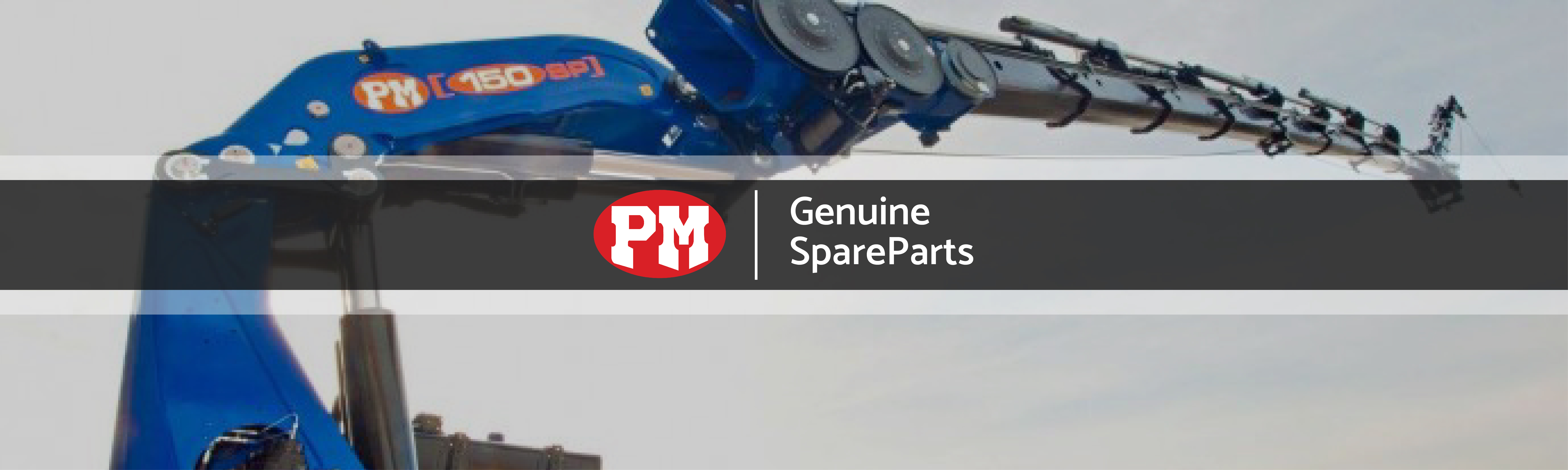 Genuine PM Crane Spare Parts Supplier In Dubai - UAE